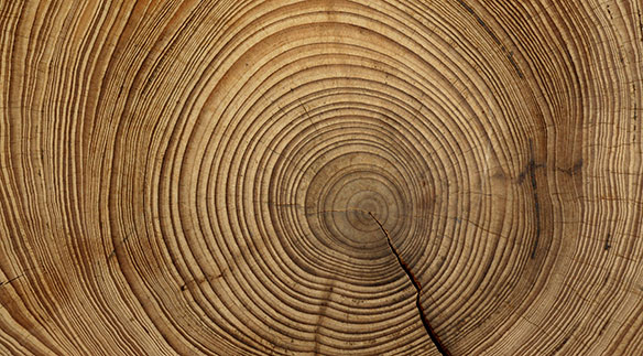 2010 Holzwerkstatt für Strassenkinder