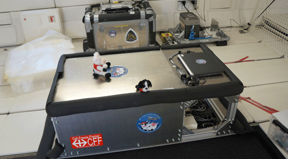 Cell Freeze Framer Flugbox