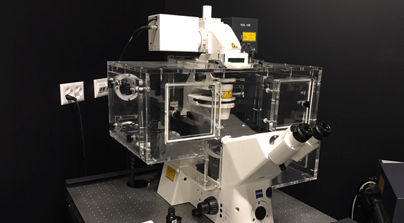 Konfokales Lasermikroskop