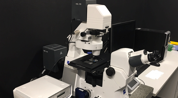 Zeiss Fluoreszenz Mikroskop