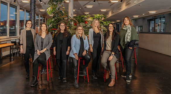 Programmorganisation