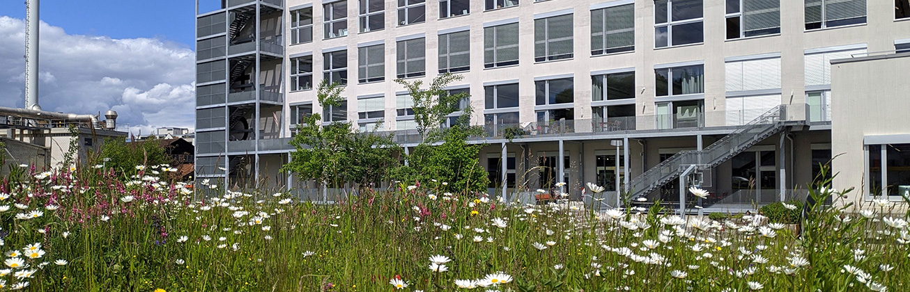 HSLU Aussenansicht, Christian Schnellmann