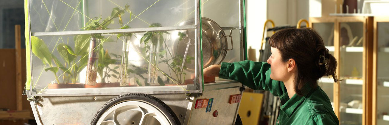 Eine Doktorierende arbeitet an ihrem Forschungsprojekt