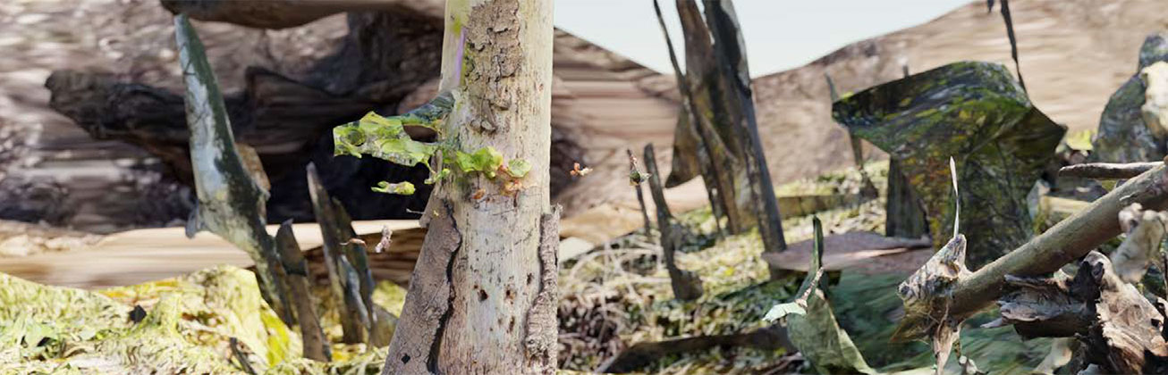 Video Still Bachelor Animation