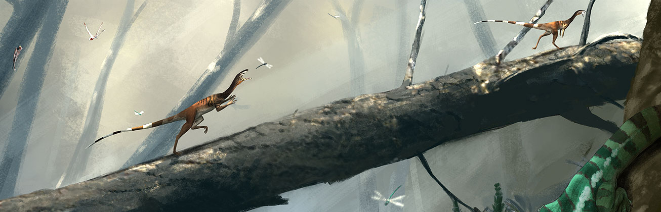 Illustration Dinosaurier von Denny Navarra