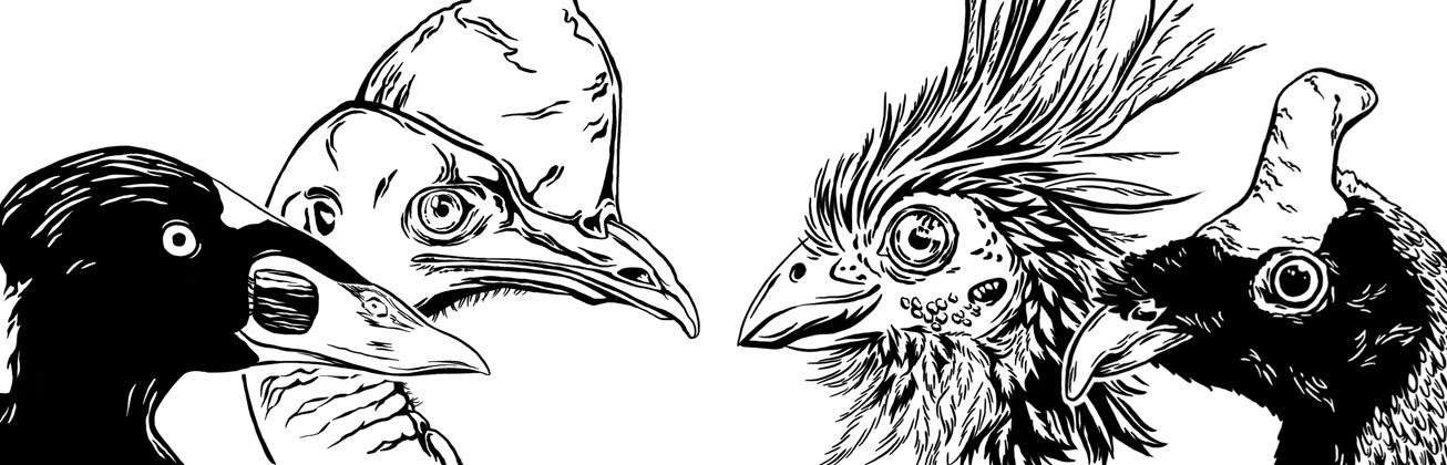 Illustration Vogelköpfe von Leanne Moret