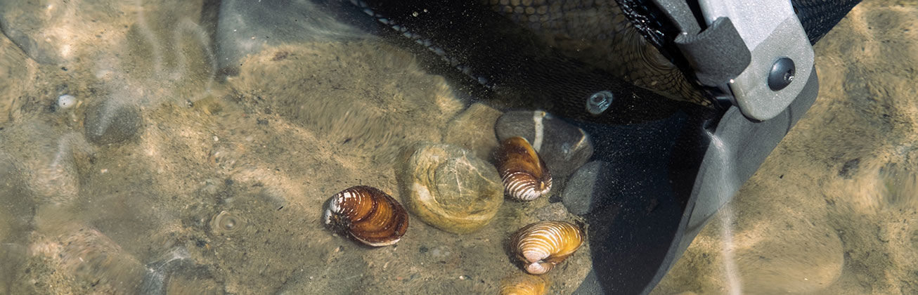 Bachelorarbeit Léon Bolz - Nautilus 2023