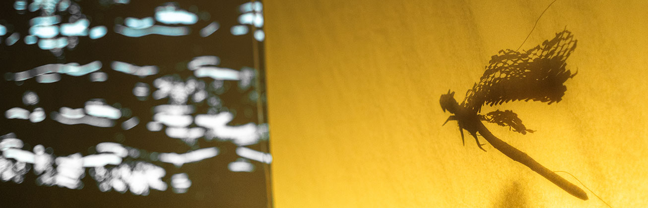 Master Animation Werkschau 2022