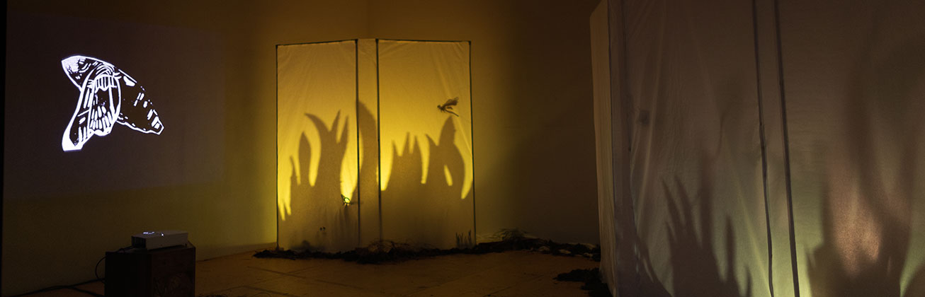 Master Animation Werkschau 2022