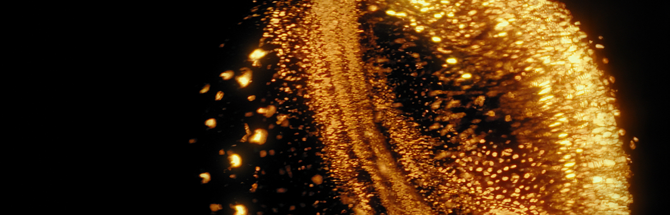 Moodboard für den Master Film – Ausschnitte von Projekten aus den letzten Jahren. 