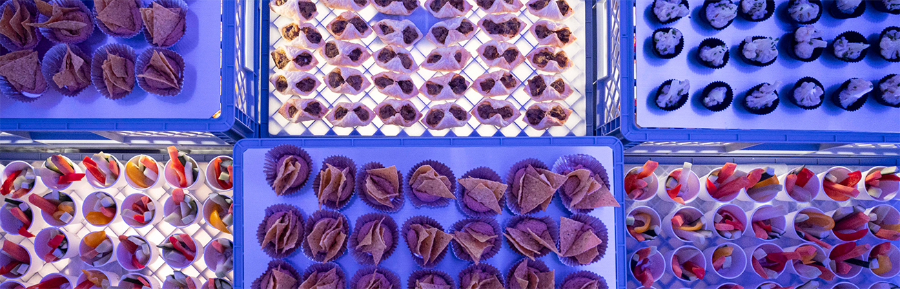 Apéro und Veranstaltung der Food Installation Helga 2024: modulare Snack-Installation aus gestapelten Kisten, Publikum im Austausch sowie Einblicke in Präsentation und Eventsetting.