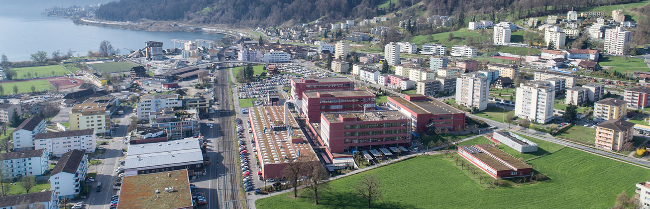 Campus Horw, Abstimmung in Gemeinde
