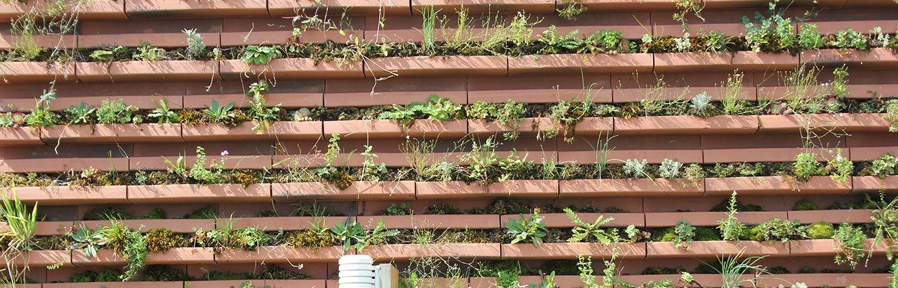 Green Brick