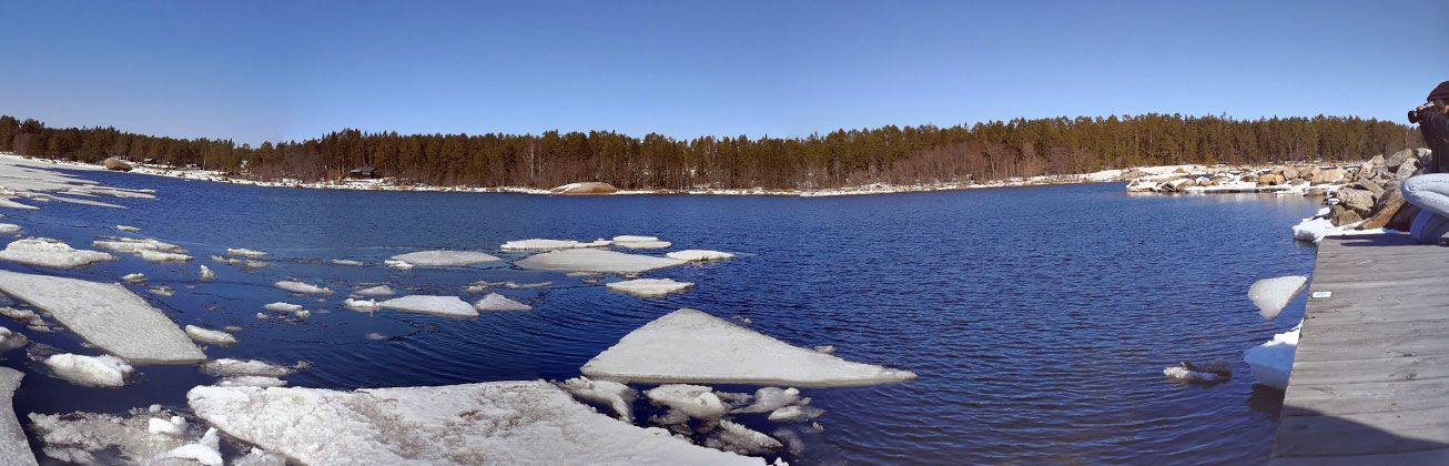 Schweden – Bürgi Robin