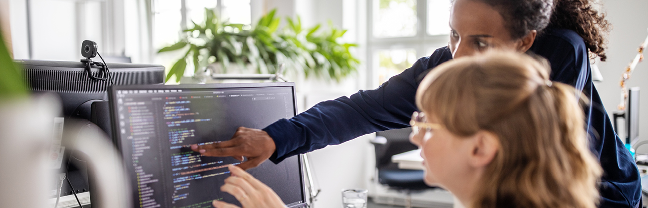 Software Development