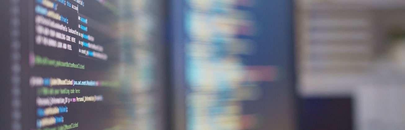 Software Development