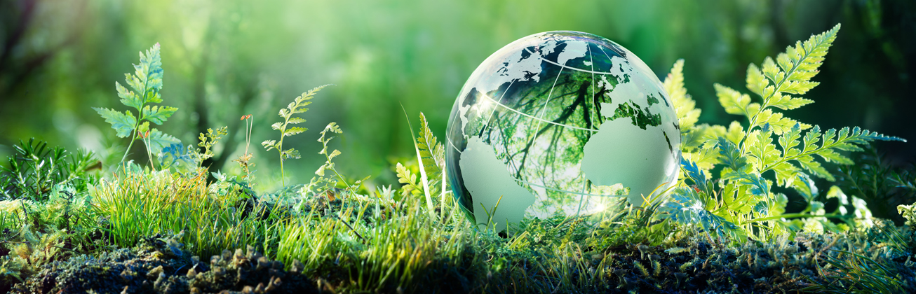 Nachhaltigkeit