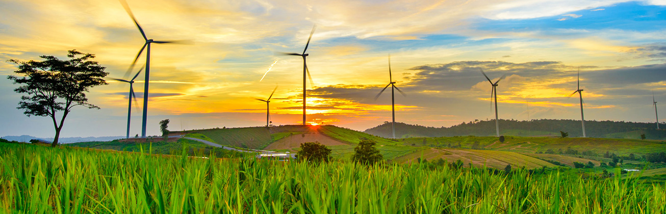 Foto zeigt viele Windräder inmitten einer grünen Wiese bei Sonnenuntergang.