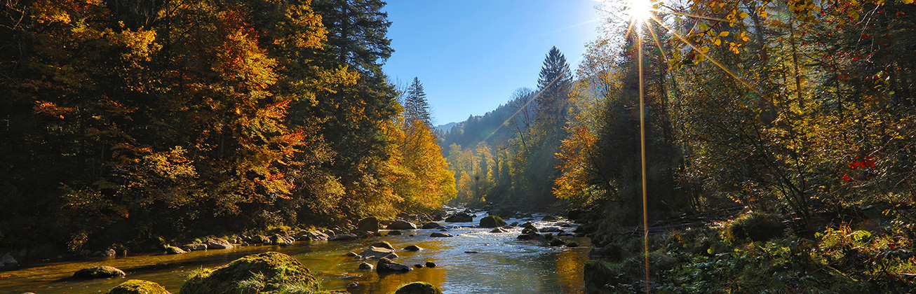 Foto zeigt einen Bach, der durch ein Tal fliesst. An beiden Seiten des Flusses sind Bäume zu sehen. Die Sonne scheint, es ist ein warmer Herbsttag.
