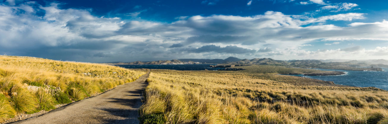 Moodboard-Career_BSc-International-Sustainable-Tourism