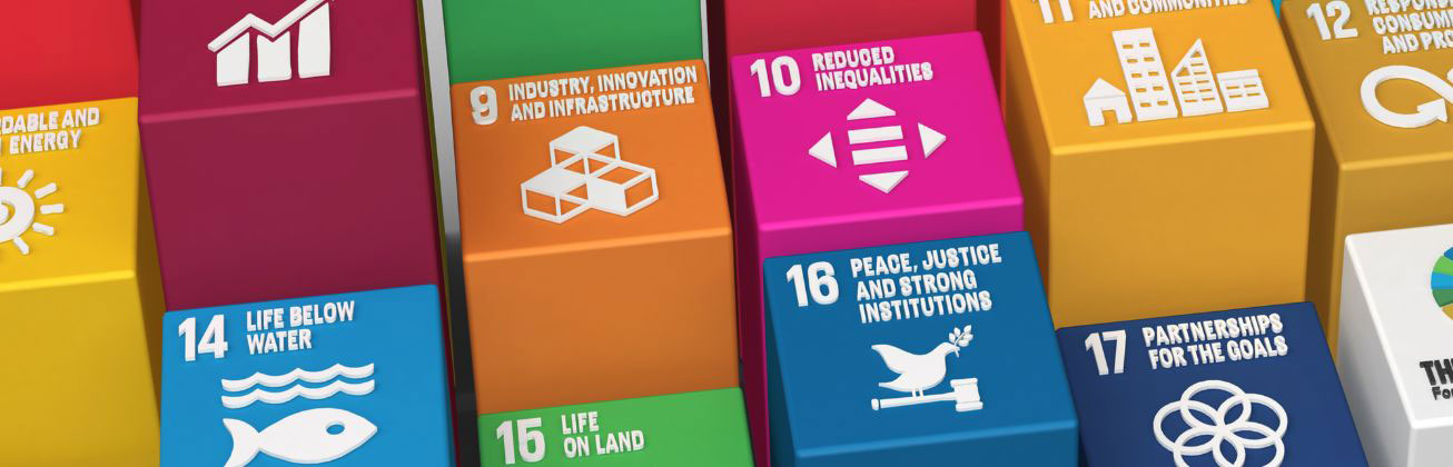 Sustainable Development Goals BSc IST_desktop