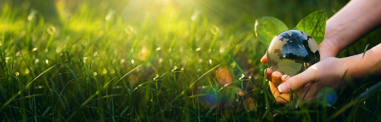 BSc Nachhaltigkeit 2