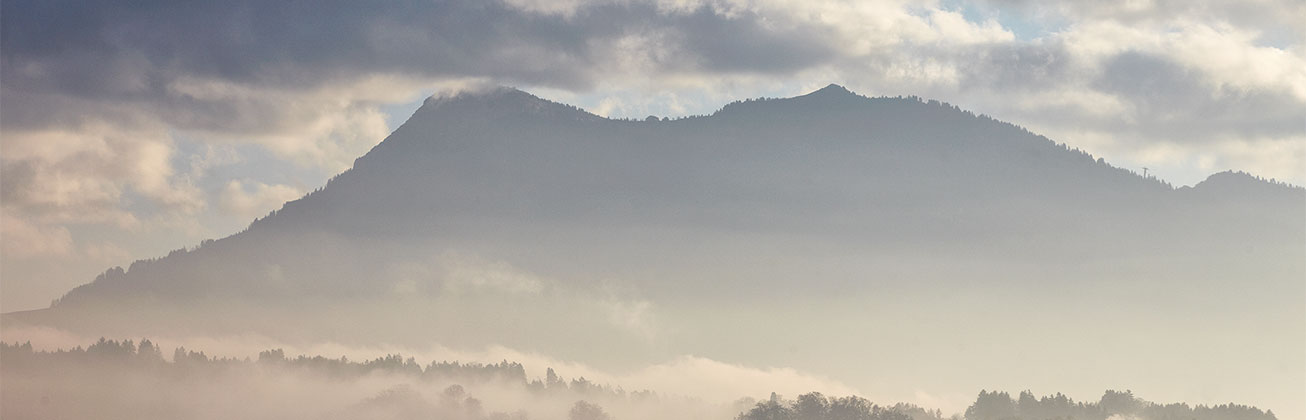 w Moodboard International Rigi progressiv