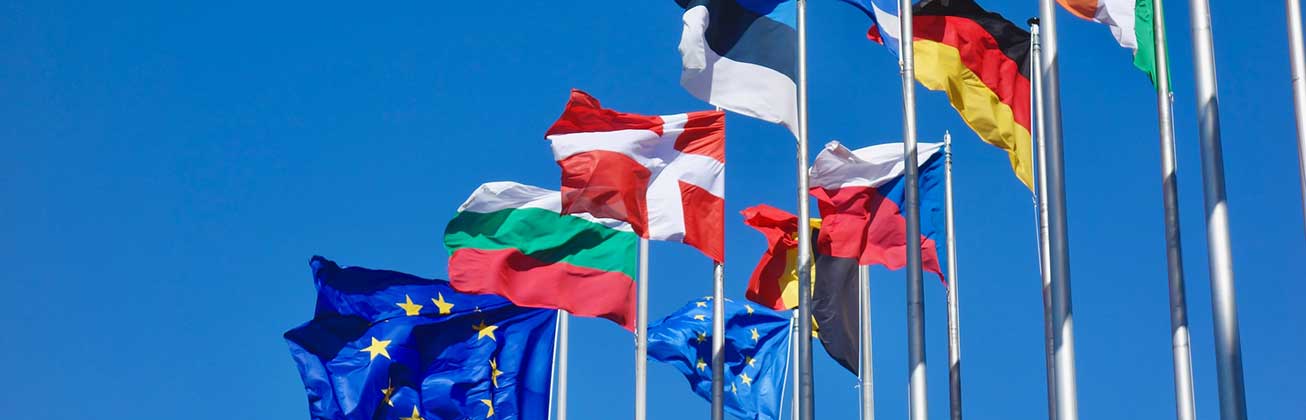 Bachelor of Science in International Business Administration - Auslandsemester