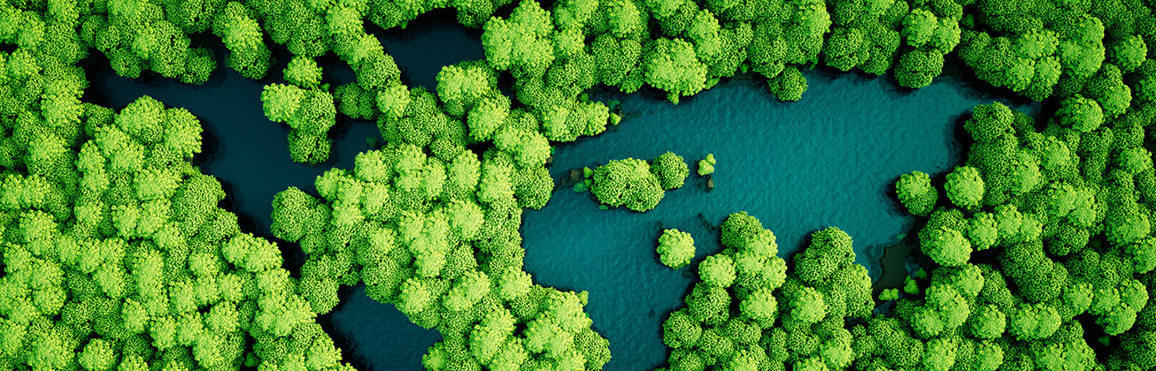 Weltkarte aus Bäumen und Seen