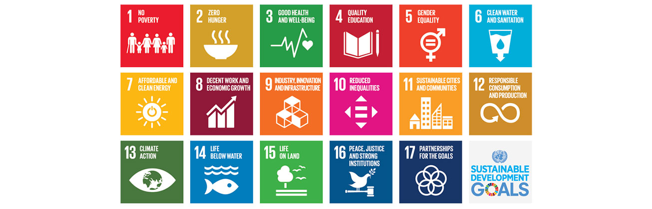 Grafik der 17 UNESCO SDG