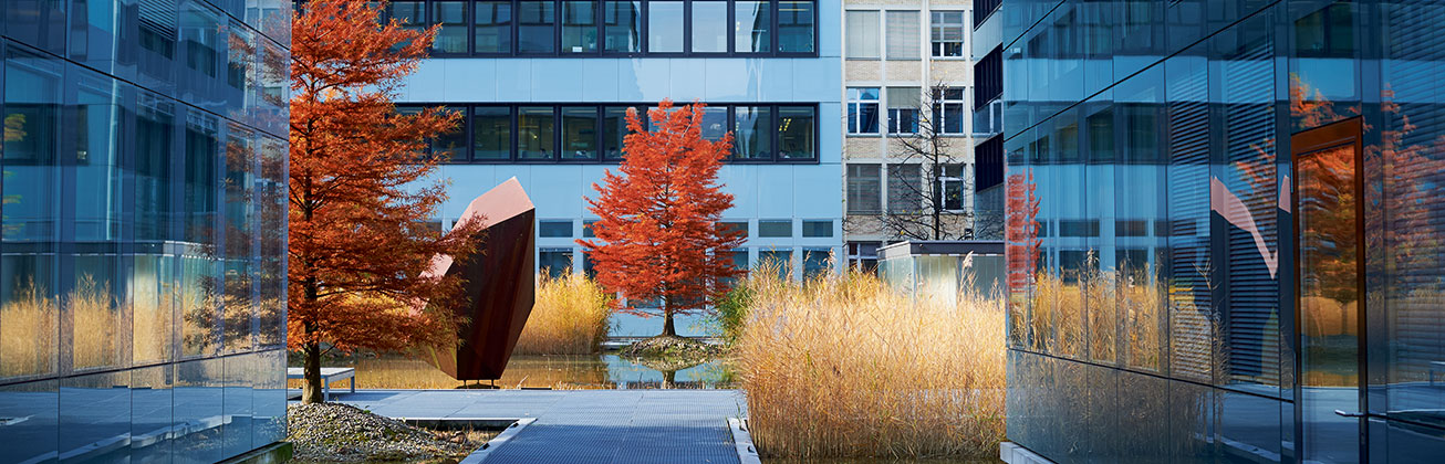 Innenhof zwischen Gebaeuden, der herbstliche Baeume zeigt