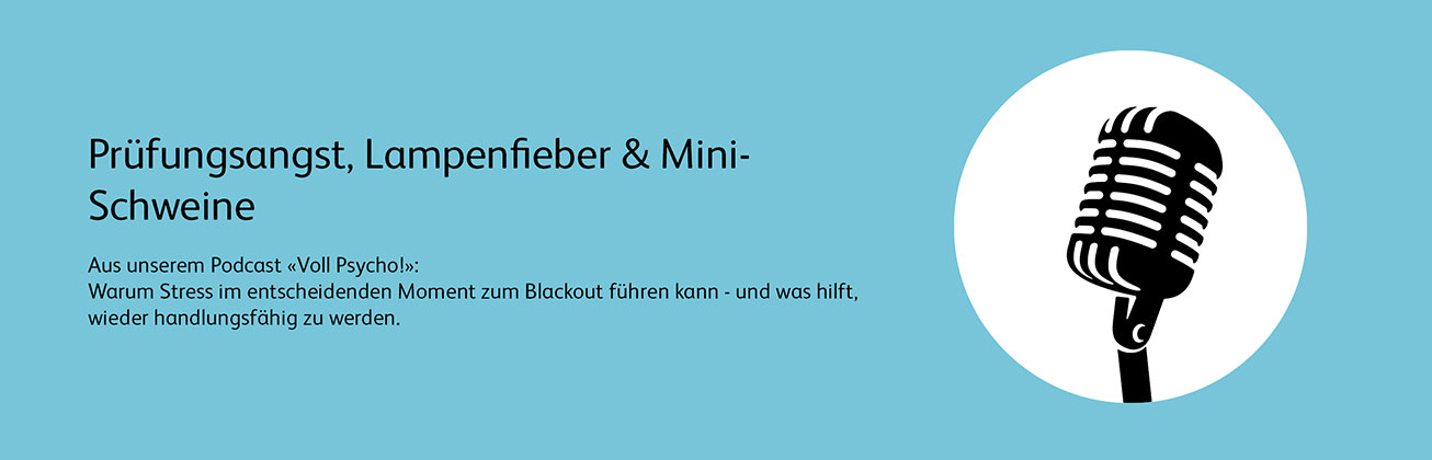 Prüfungsangst, Lampenfieber & Mini-Schweine mit Link zum Podcast
