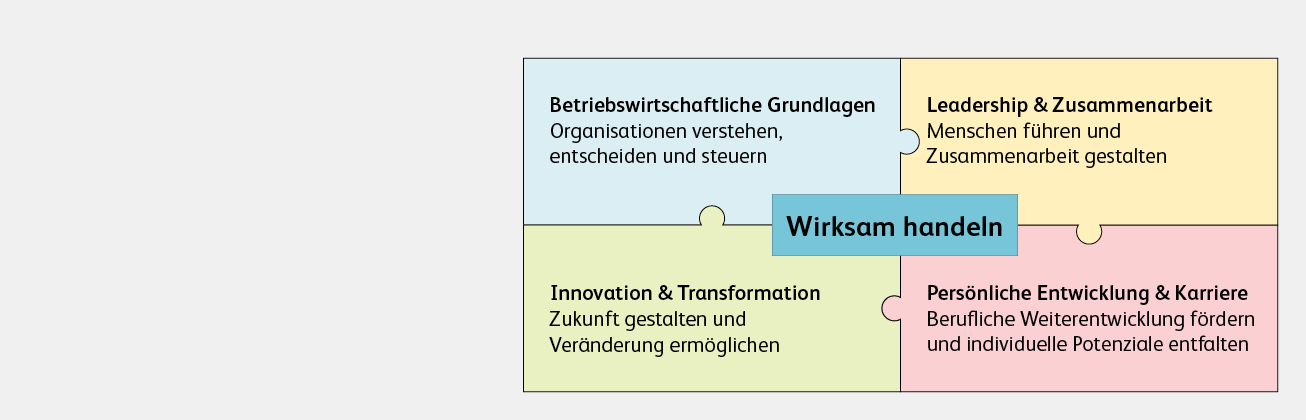 MBA Luzerner Modell