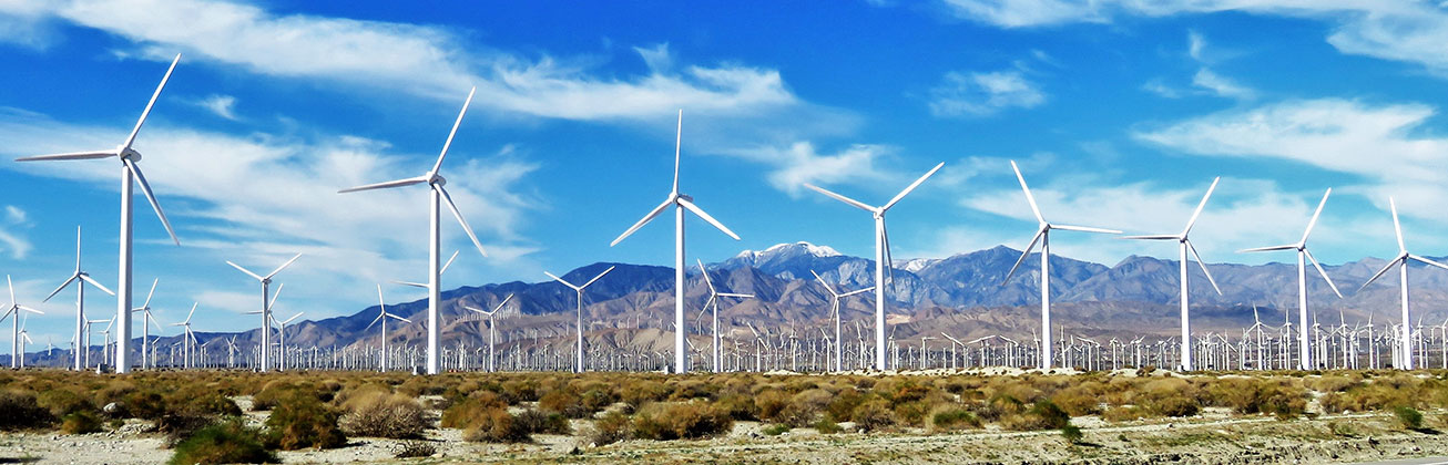 Sustainable Investments