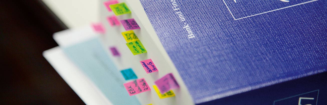 MAS Economic Crime Investigation neu modularisiert mit KI Teilen