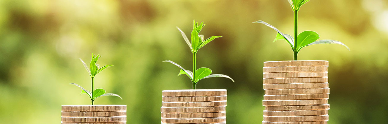 Illustration Thema NPO