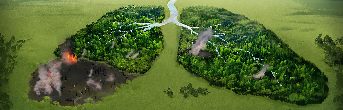 Amazonasrainforest_Applied Information and Data Science_HSLU