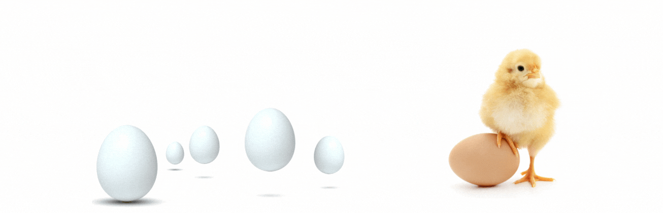 Applied Data Science_Egg Substitude_HSLU