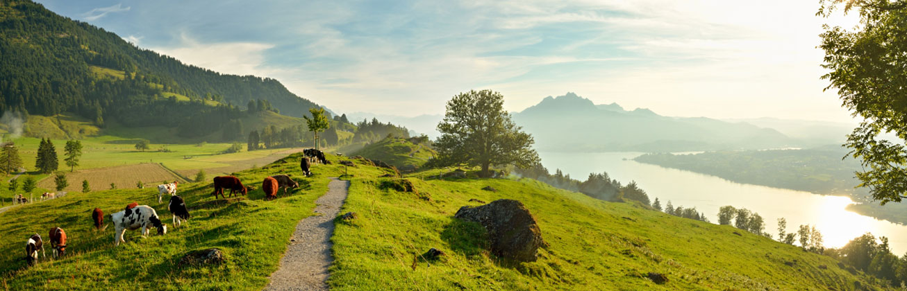 Hochschule-Luzern-Wirtschaft-Business-Bachelor-Info-Events-Standort-Luzern-Wanderwege