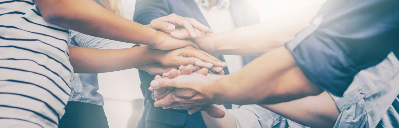 Insights Major Online Business and Marketing_MSc in Business Administration HSLU