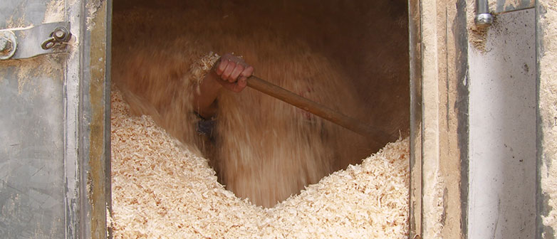 Saugwagenpilot / Salome Wüllner 