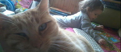 Patricia Prieto Blanco, «Unidas» – eine beendete Familien-WhatsApp-Gruppe, 2014