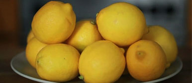 Renée Del Missier, Fliege, 2011 