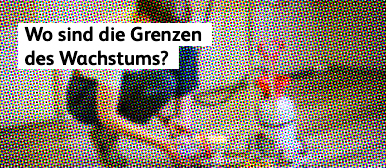 What are the limits to growth?