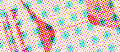 Die Andere Mutter Buchcover