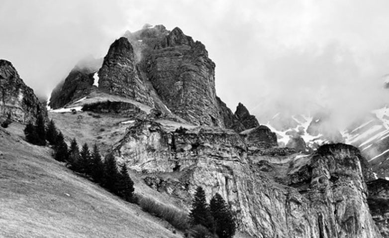 Elisabeth Nold Schwartz