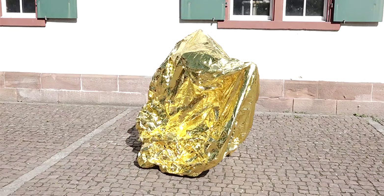 SNF Forschungsprojekt Flüchtiges Sammeln mit Rachel Mader und Wolfgang Brückle