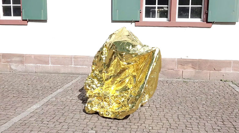 SNF Forschungsprojekt Flüchtiges Sammeln mit Rachel Mader und Wolfgang Brückle