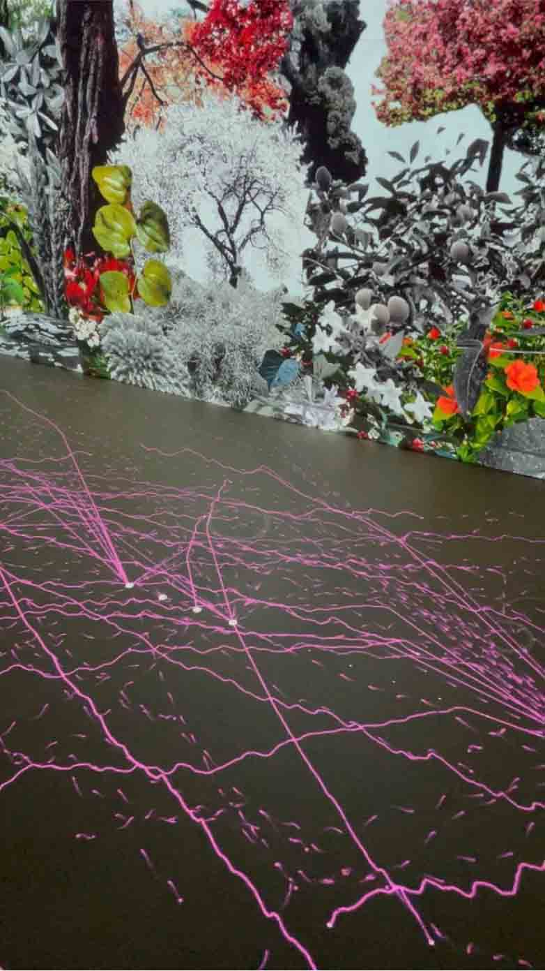 Computergenerierte Pflanzenwelt Ausstellungsansicht