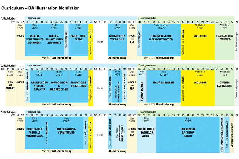 Infografik zum Curriculum des BA Illustration Nonfiction.
